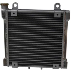 Bronco ATV/UTV Components Radiator For Can-Am DS 650