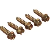 Maverick Distributing Pro Gold Ice Screws / Studs