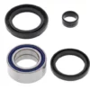 ALL BALLS RACING All Balls Front Wheel Bearing Kit Honda TRX300 / TRX420 25-1003