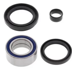 ALL BALLS RACING All Balls Front Wheel Bearing Kit Honda TRX300 / TRX420 25-1003