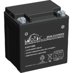 Leoch Battery EBX30L-BS ATV / Motorcycle AGM Battery - (YIX30L-BS, GTX30L-BS, CTX30L-BS)